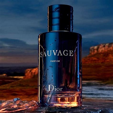 dior rouge dior dupe|dupe Dior sauvage.